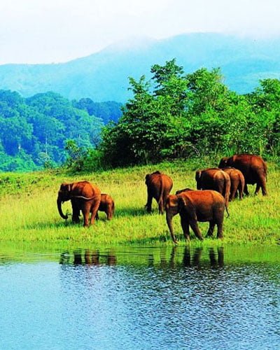 Explore Wildlife Sanctuary