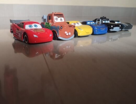 Silent Valley National Park Package