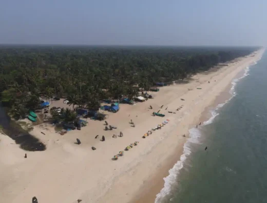 Golden sandy shoreline at Alleppey Beach