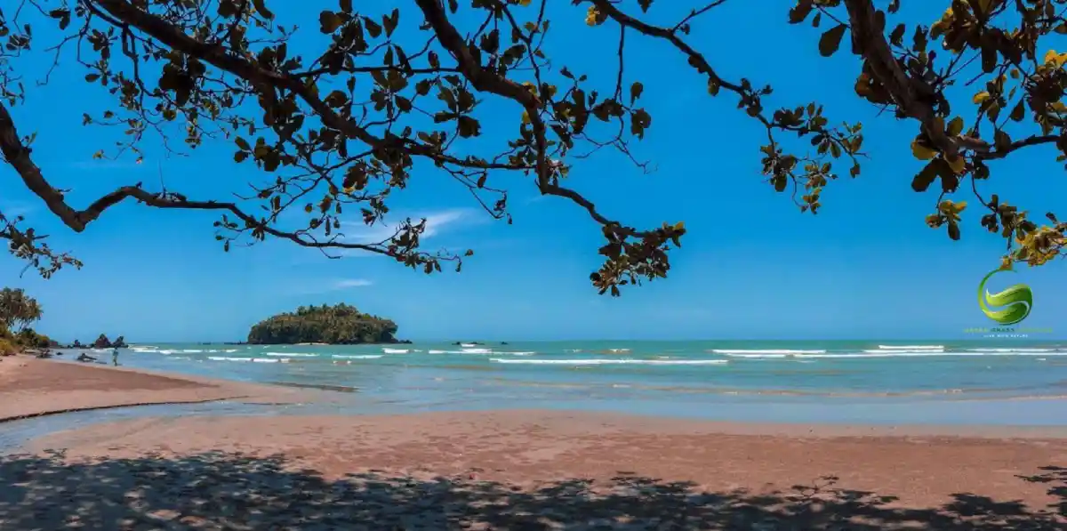 Dharmadam Beach, Kannur