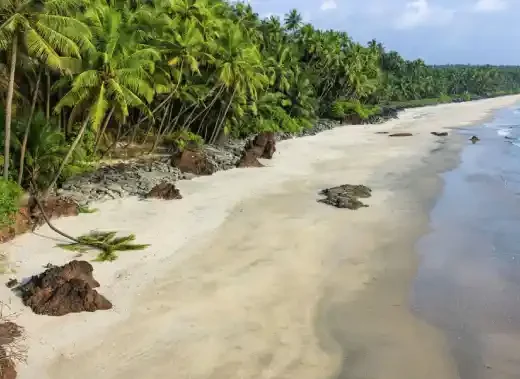 Coconut-lined coastline at Thottada Beach, Kannur