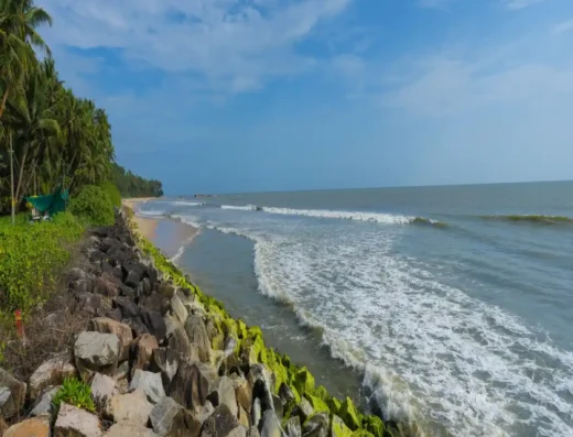 Rocky coastline and coconut palms at Kizhunna Ezhara Beach