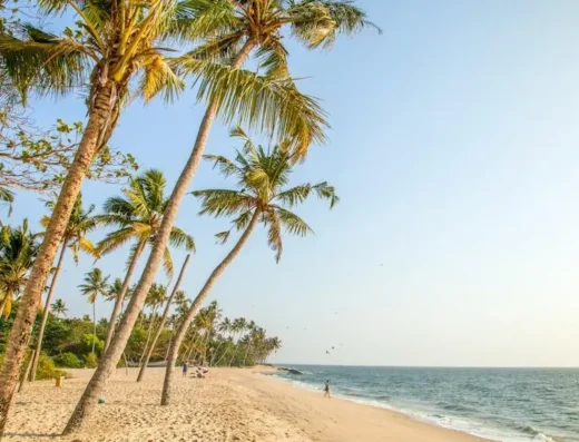 Golden sandy shoreline at Marari Beach, Alappuzha