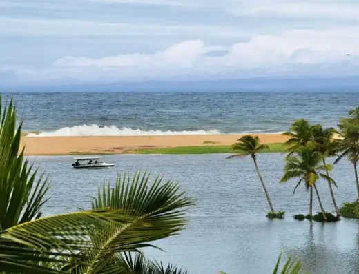 Boat cruising through the Poovar Backwaters towards the beach