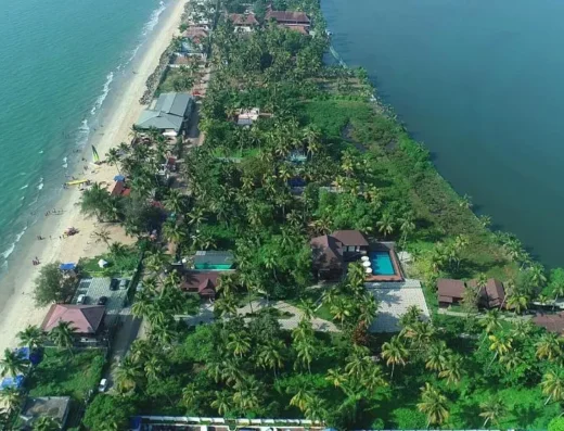 Scenic view of Cherai Beach with coconut palms