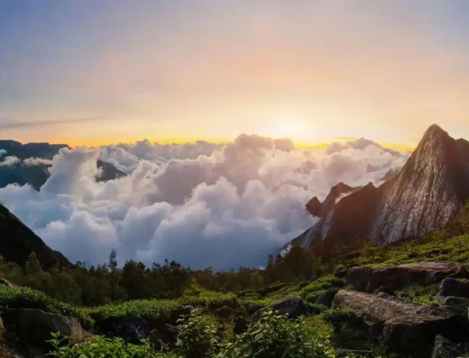 Munnar Hill Station Kerala