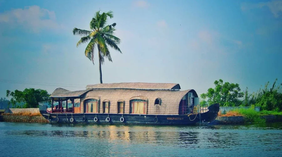 Exploring the Majestic Kerala Backwaters: A 2026 Comprehensive Guide