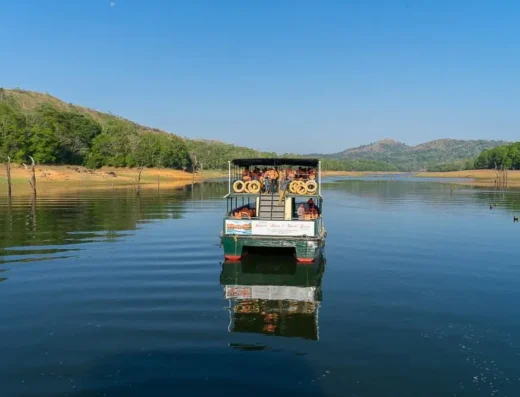 Boat safari on Periyar Lake in Thekkady
